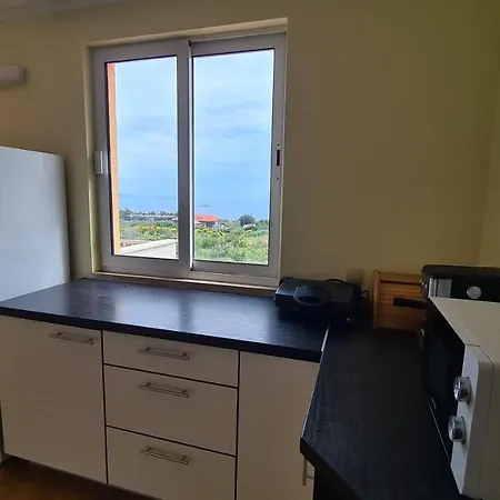 Apartment Bajic *